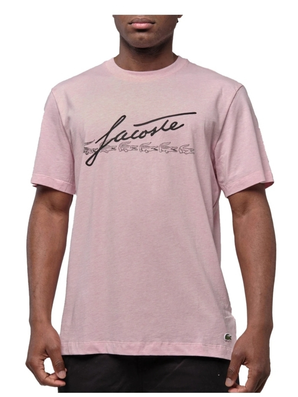 Lacoste Signature And Crocodile Print Crew Neck Cotton T-Shirt size L